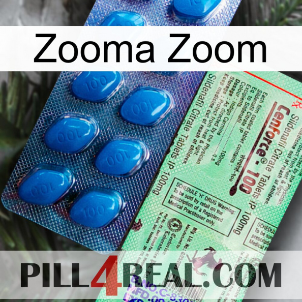 Zooma Zoom new02.jpg